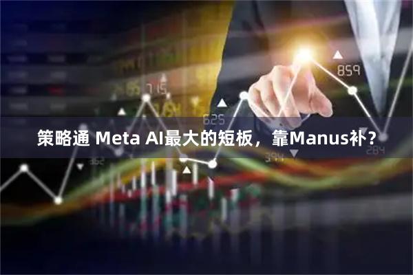 策略通 Meta AI最大的短板，靠Manus补？