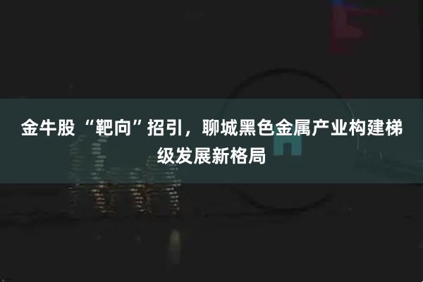 金牛股 “靶向”招引，聊城黑色金属产业构建梯级发展新格局