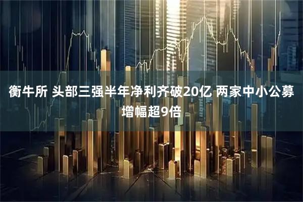 衡牛所 头部三强半年净利齐破20亿 两家中小公募增幅超9倍